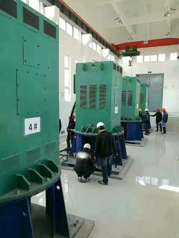 Y8006-10某污水处理厂使用我厂的立式高压电机安装现场生产厂家