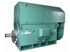Y8006-10Y系列6KV高压电机